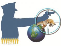 海外“猎狐” 今年已有256名外逃经济犯罪嫌疑人落网