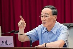 王岐山“淡出”媒体40天 两“虎”现原形