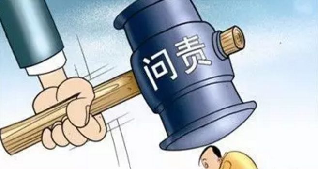 国办通报16个督查问责典型案例