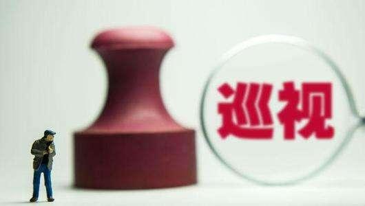 抓好巡视整改 还高校一片净土