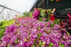 牢牢把握我国发展的阶段性特征