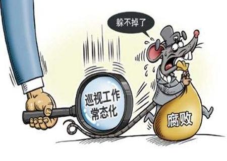 十八届中央第十二轮巡视整改情况将陆续公布