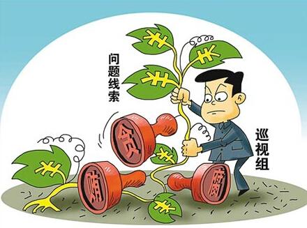 贯彻落实被巡视党组织配合巡视规定 推动全面从严治党向纵深发展