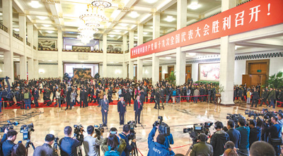 把十九大精神落到实处（党代表通道）