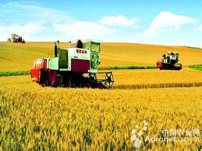 让“新农民”耕耘希望田野（评论员观察）