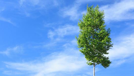 空气质量总体改善