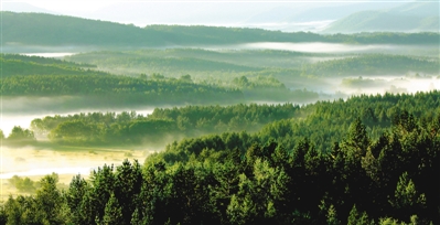 塞罕坝成世界生态文明典范