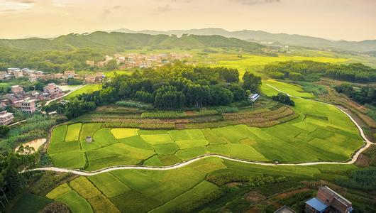 把农村公路建好管好护好运营好 为广大农民致富 奔小康加快推进农