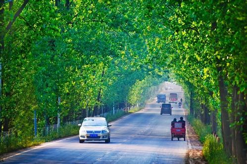 治理有序才是最美乡村（群言共识·生活如何更美好②）
