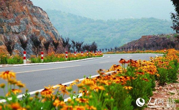 山东：全面铺就“新农村幸福路”