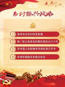 乡村振兴举什么旗走什么路（政策解读·聚焦中央一号文件②）