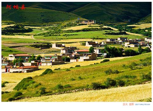 阿坝：绿色装点幸福生活（在习近平新时代中国特色社会主义思想指