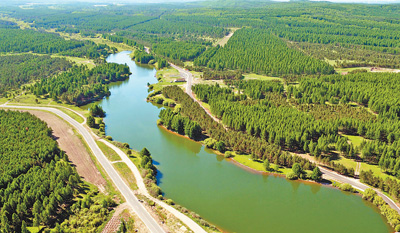 “从中国的成功经验中寻找新路径”