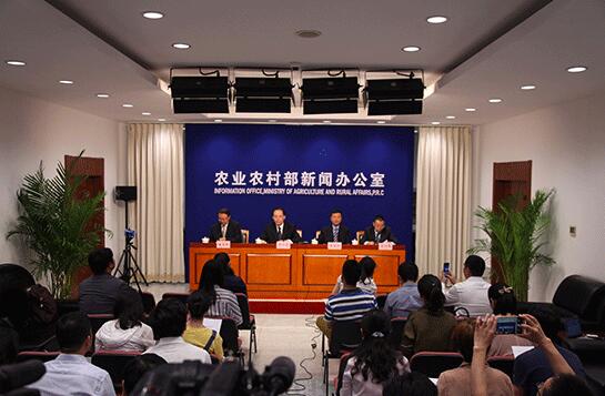 农业农村部谈种业发展:呈现“四个显著”打牢安全根基