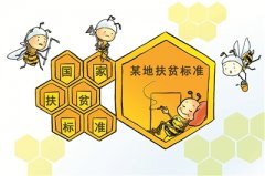 力克形式主义 方能精准脱贫