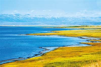 大美青海  绿色崛起