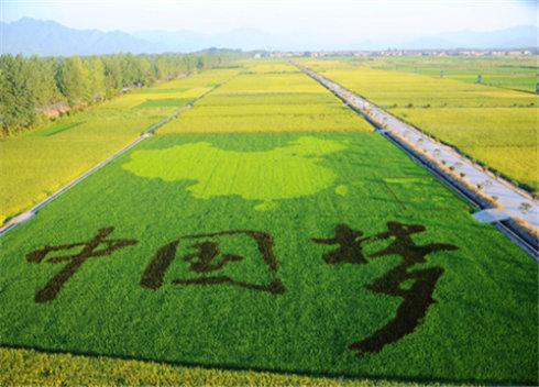 李克强主持召开国务院常务会议