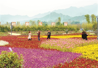 读懂中国道路的智慧与方法