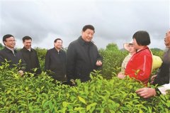 扎实做好“六稳”工作落实“六保”任务奋力谱写陕西新时代追赶超越新篇章