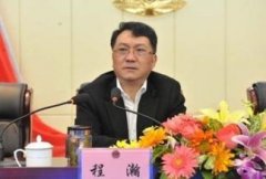 安徽省司法厅党委委员、副厅长程瀚接受调查