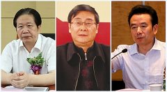 贪官七大腐败“画像”之一：政治愿望落空后，他们变了……