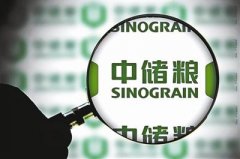 层层腐败手段隐秘 揭中储粮黑龙江窝案四大＂生意经＂