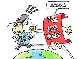 江苏省追逃办缉捕“百名红通人员”戴学民纪实