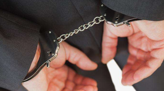 天罗地网 插翅难逃——40名“百名红通人员”落网的背后