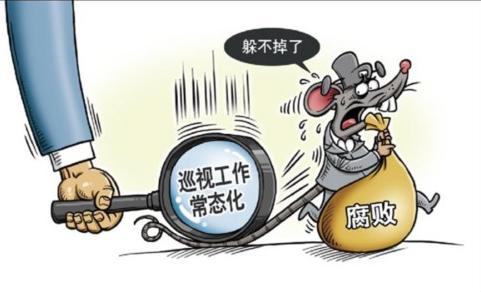 领导坚强有力，赋予巡视新活力