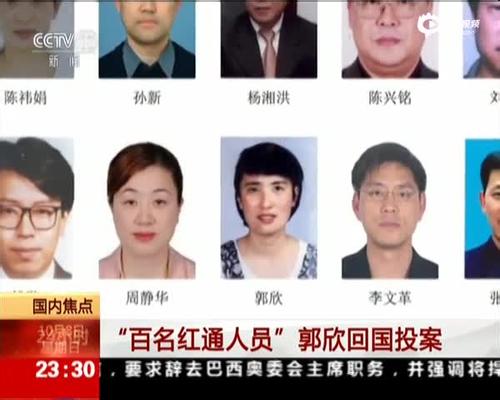 “百名红通人员”郭欣回国投案