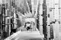 讲好儒学故事 传承文化经典