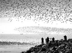 科学把握人与自然和谐共生的时代内涵 《习近平谈治国理政》