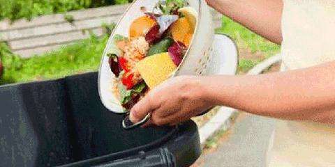 全国人大常委会法工委成立专班 开展制止餐饮浪费行为立法工作