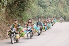 力量源泉：14亿人民不屈不挠的意志力 抗疫斗争伟大实践启示