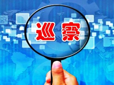 以有力监督推动有效落实 各地针对具体领域开展专项巡视巡察