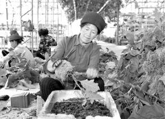 脱贫攻坚全过程都要精准