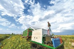 10月16日是世界粮食日 粮食领域腐败问题令人警醒 铁纪护航 颗粒归仓