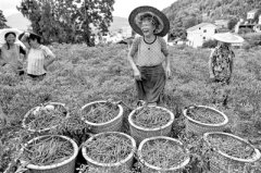 纪检监察机关立足职能职责 为打赢三大攻坚战积极作为