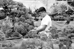 乡村振兴绘就美好生活