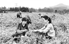 一体推进“三不”体制机制建设