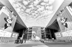 加快构建新发展格局