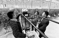 深刻理解新发展阶段