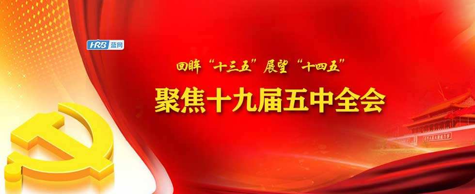 全面贯彻党的十九届五中全会精神 推动改革和发展深度融合高效联动
