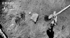 挖土完毕 打包回家