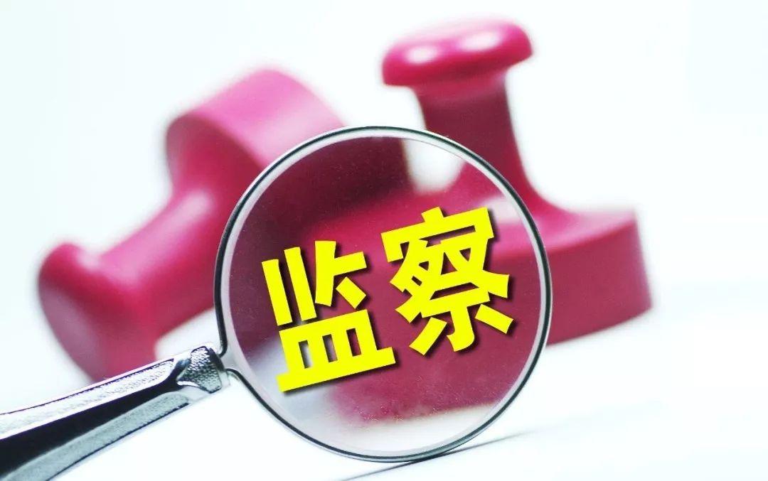 依据党章宪法履行监督职责