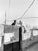 给“骑墙护士”点个赞