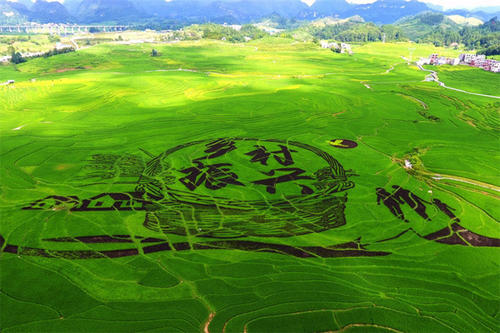 2021年中央一号文件公布 提出全面推进乡村振兴