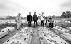 坚持问题导向 做实基层监督