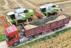 乡村振兴促进法6月起实施 为城乡融合发展保驾护航 夯实乡村振兴法治基石