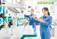 如何遏制“两高”项目顶风上马 访生态环境部环境规划院副院长严刚